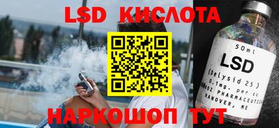 СК Новодвинск