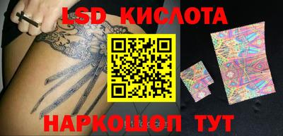 СК Новодвинск