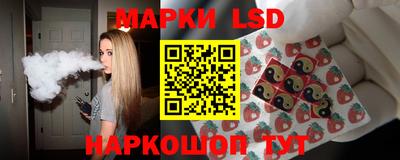 СК Новодвинск
