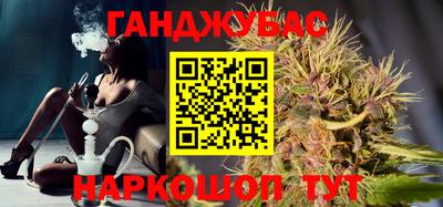 СК Новодвинск