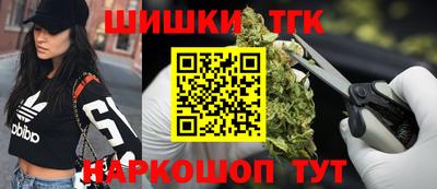 СК Новодвинск