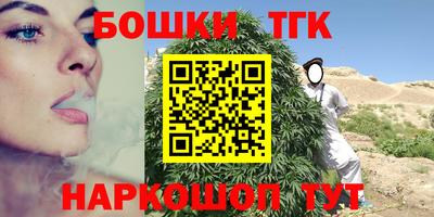СК Новодвинск