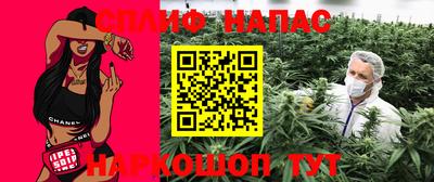 СК Новодвинск