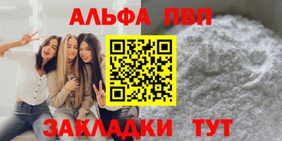 СК Новодвинск