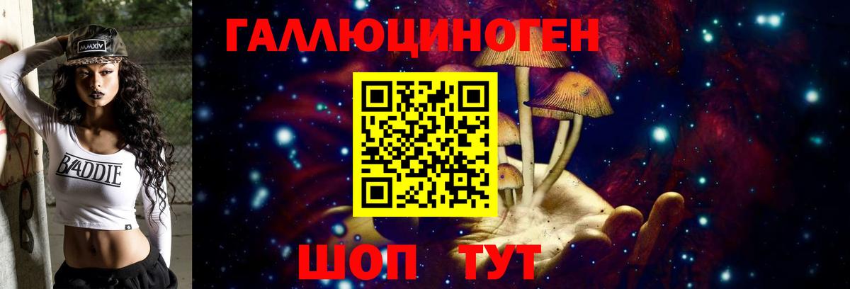 Галлюциногенные грибы мухоморы Владимир