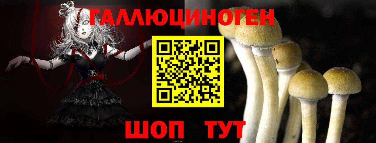 Галлюциногенные грибы MAGIC MUSHROOMS  Вход с VPN  Владимир 
